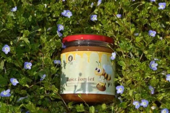 NoccioMiel - Crema spalmabile di nocciole e miele - immagine 4