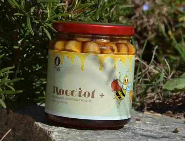 nocciol+