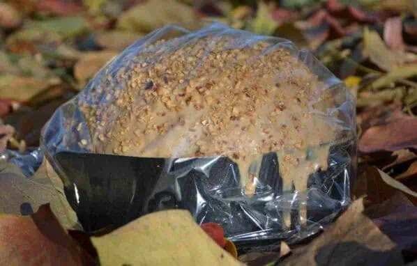 Panettone artigianale farcito alla nocciola piemonte igp