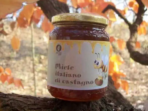 Tutti i benefici del miele di castagno.