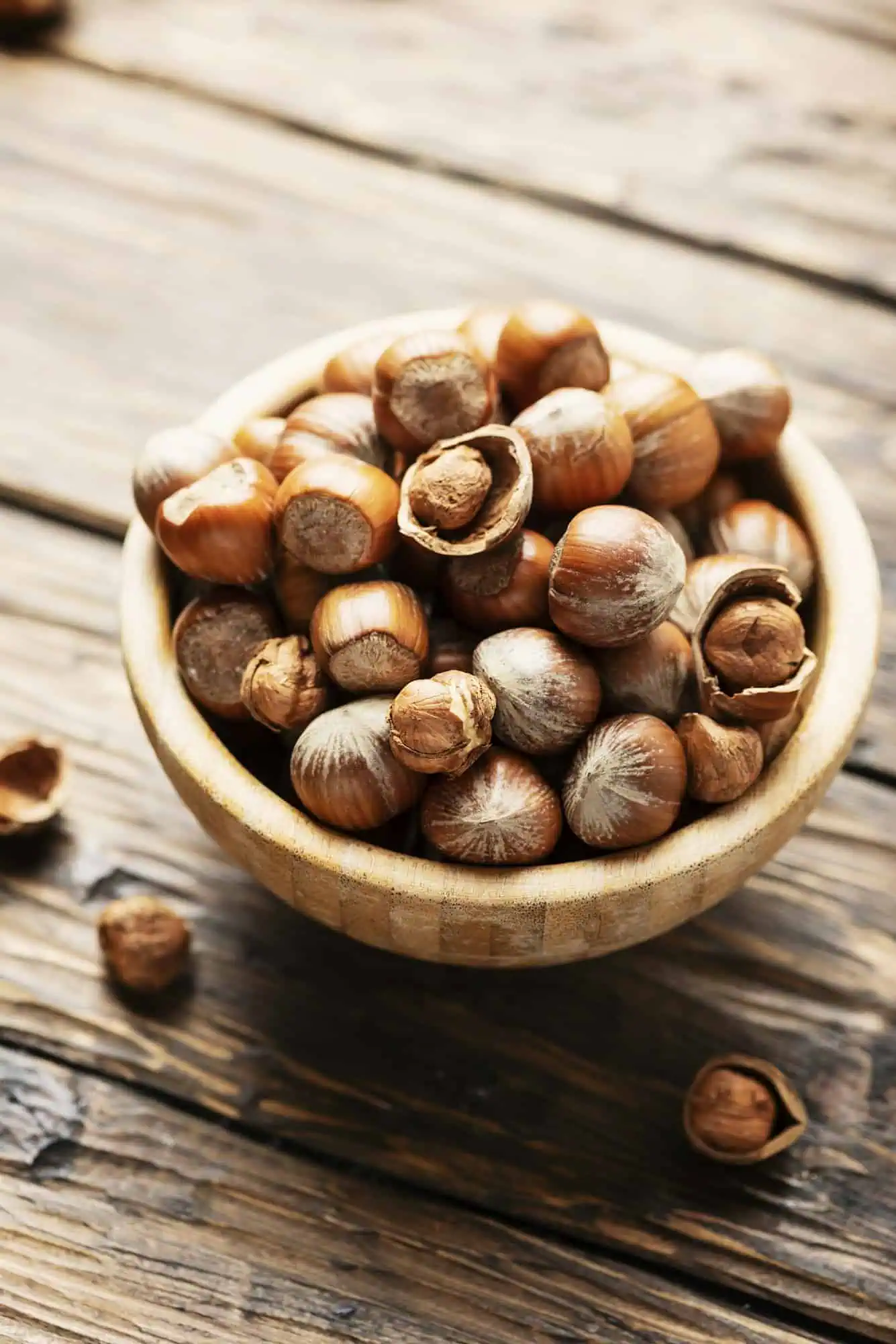 hazelnut