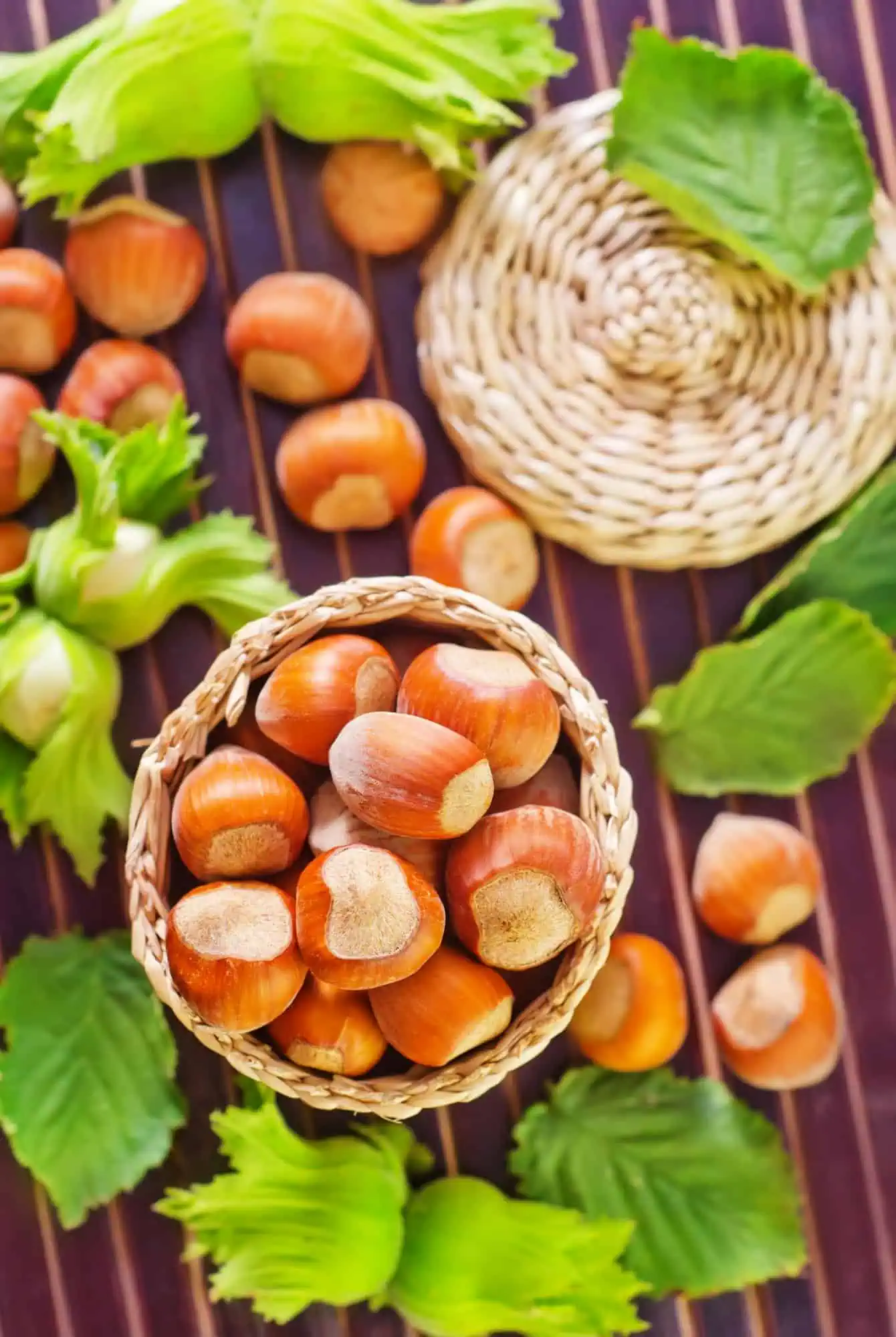 hazelnuts 1